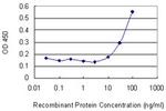 ARHGDIG Antibody in ELISA (ELISA)