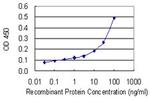 SERPINC1 Antibody in ELISA (ELISA)