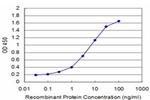 ZFHX3 Antibody in ELISA (ELISA)