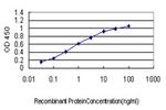 ATF4 Antibody in ELISA (ELISA)