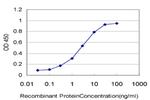 ATOX1 Antibody in ELISA (ELISA)