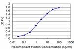 ATP7B Antibody in ELISA (ELISA)