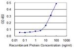 AUH Antibody in ELISA (ELISA)