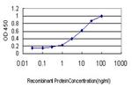 AXL Antibody in ELISA (ELISA)