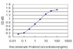 BACH1 Antibody in ELISA (ELISA)