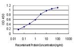 BID Antibody in ELISA (ELISA)