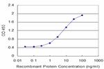 BID Antibody in ELISA (ELISA)