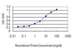 PRDM1 Antibody in ELISA (ELISA)