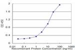 BLMH Antibody in ELISA (ELISA)