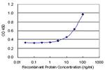 BMP2 Antibody in ELISA (ELISA)