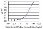 BMP2 Antibody in ELISA (ELISA)