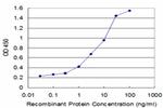 BMP5 Antibody in ELISA (ELISA)