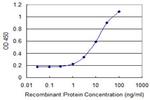 BMP5 Antibody in ELISA (ELISA)