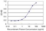 BMP5 Antibody in ELISA (ELISA)