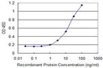 BMP5 Antibody in ELISA (ELISA)