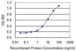 BMP5 Antibody in ELISA (ELISA)