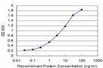 BMP5 Antibody in ELISA (ELISA)