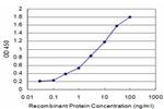 BMP5 Antibody in ELISA (ELISA)