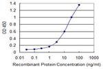 BMP5 Antibody in ELISA (ELISA)