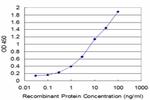 BMP5 Antibody in ELISA (ELISA)