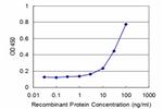 BMPR2 Antibody in ELISA (ELISA)