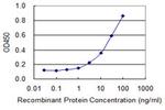 BMPR2 Antibody in ELISA (ELISA)