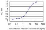 BMX Antibody in ELISA (ELISA)