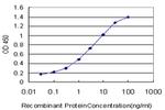 KLF9 Antibody in ELISA (ELISA)