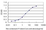 KLF9 Antibody in ELISA (ELISA)