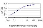 CA1 Antibody in ELISA (ELISA)