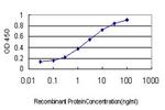 CA1 Antibody in ELISA (ELISA)