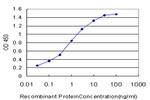 CA1 Antibody in ELISA (ELISA)