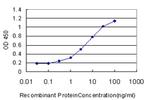 CA1 Antibody in ELISA (ELISA)