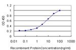 CA1 Antibody in ELISA (ELISA)