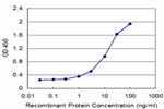 CA1 Antibody in ELISA (ELISA)