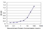 CALCA Antibody in ELISA (ELISA)