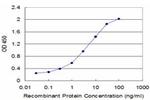 CAPZB Antibody in ELISA (ELISA)