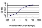 CASP10 Antibody in ELISA (ELISA)