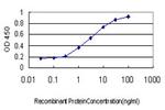 RUNX2 Antibody in ELISA (ELISA)