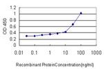 RUNX2 Antibody in ELISA (ELISA)