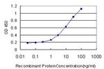 RUNX2 Antibody in ELISA (ELISA)