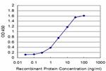 RUNX2 Antibody in ELISA (ELISA)