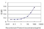 RUNX1 Antibody in ELISA (ELISA)