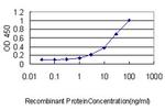 SERPINH1 Antibody in ELISA (ELISA)