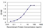 CBS Antibody in ELISA (ELISA)