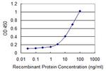 CD1B Antibody in ELISA (ELISA)