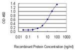 TNFRSF7 Antibody in ELISA (ELISA)