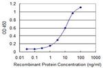 CD80 Antibody in ELISA (ELISA)