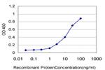 CD34 Antibody in ELISA (ELISA)