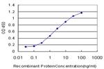 SCARB2 Antibody in ELISA (ELISA)